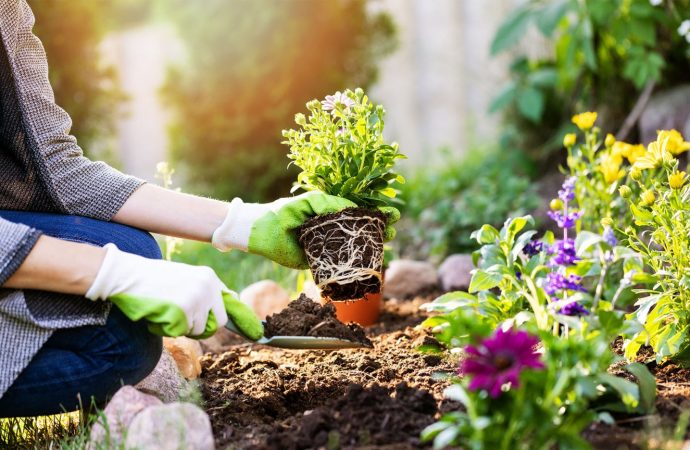 10 Top Gardening Tips For Beginners
