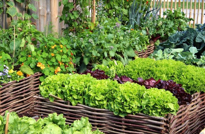 10 Creative Vegetable Garden Ideas To Inspire Your Green Thumb